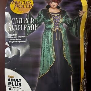 Spirit Winifred Sanderson 1X Costume in Purple and Green with wig